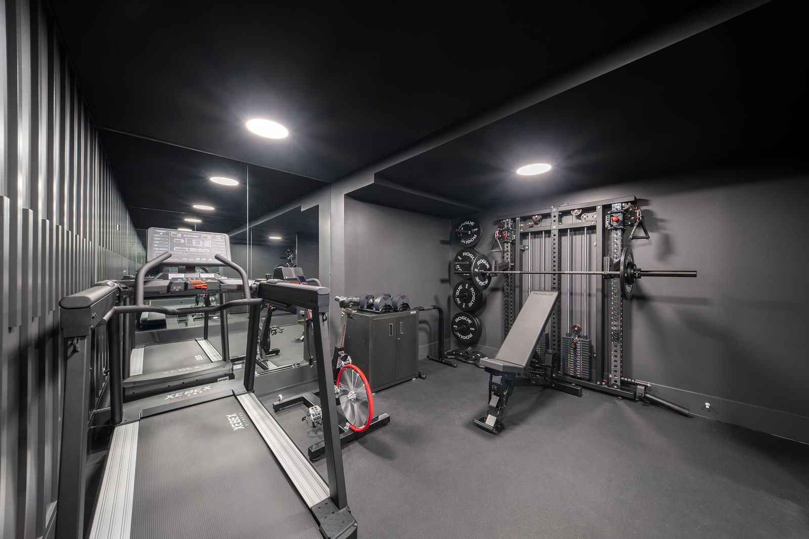 Glenview home gym designed and built by CS Gym Design